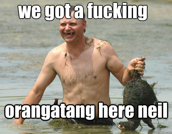 we got a fucking orangatang here neil  Turtle Man