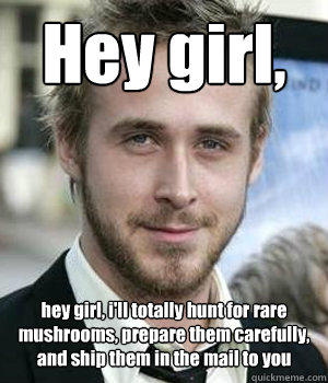 Hey girl, hey girl, i'll totally hunt for rare mushrooms, prepare them carefully, and ship them in the mail to you - Hey girl, hey girl, i'll totally hunt for rare mushrooms, prepare them carefully, and ship them in the mail to you  Misc