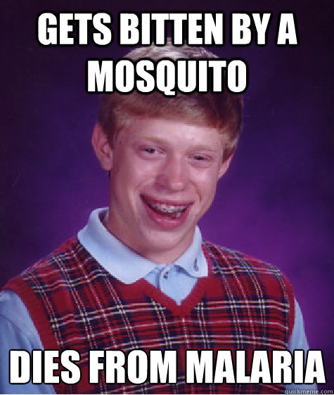 gets bitten by a mosquito  dies from malaria  - gets bitten by a mosquito  dies from malaria   Bad Luck Brian