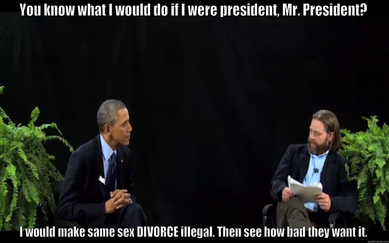 YOU KNOW WHAT I WOULD DO IF I WERE PRESIDENT, MR. PRESIDENT? I WOULD MAKE SAME SEX DIVORCE ILLEGAL. THEN SEE HOW BAD THEY WANT IT. Misc