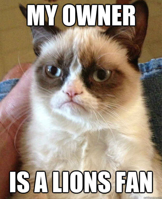 My owner is a lions fan  Grumpy Cat