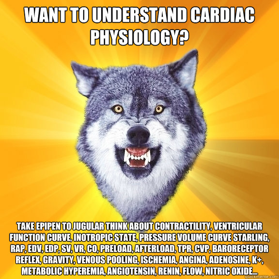 Want to understand Cardiac Physiology? Take epipen to jugular think about contractility, ventricular function curve, inotropic state, pressure volume curve Starling, RAP, EDV, EDP, SV, VR, CO, Preload, Afterload, TPR, CVP, Baroreceptor reflex, Gravity, ve  Courage Wolf