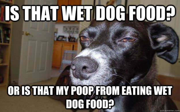 Is that wet dog food? or is that my poop from eating wet dog food?  Skeptical Mutt