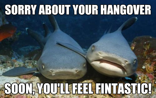 Sorry about your hangover Soon, you'll feel fintastic! - Sorry about your hangover Soon, you'll feel fintastic!  Compassionate Shark Friend