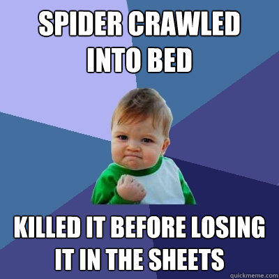 Spider Crawled Into Bed Killed it before losing it in the sheets  Success Kid