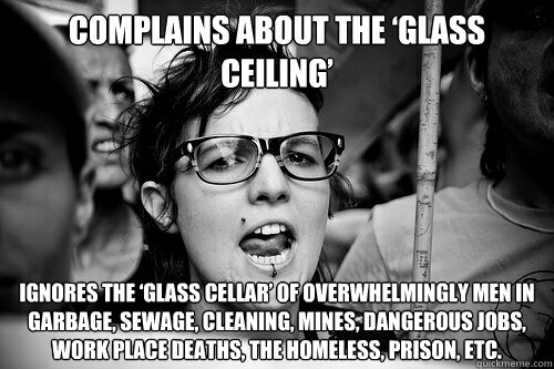 Complains about the ‘glass ceiling’ Ignores the ‘glass cellar’ of overwhelmingly men in garbage, sewage, cleaning, mines, dangerous jobs, work place deaths, the homeless, prison, etc.  Hypocrite Feminist