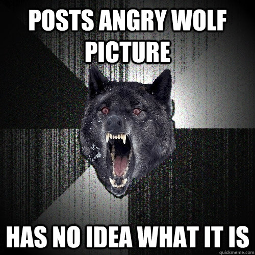 posts angry wolf picture has no idea what it is  Insanity Wolf