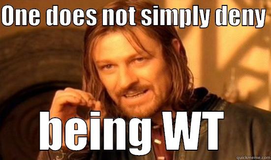 ONE DOES NOT SIMPLY DENY  BEING WT Boromir