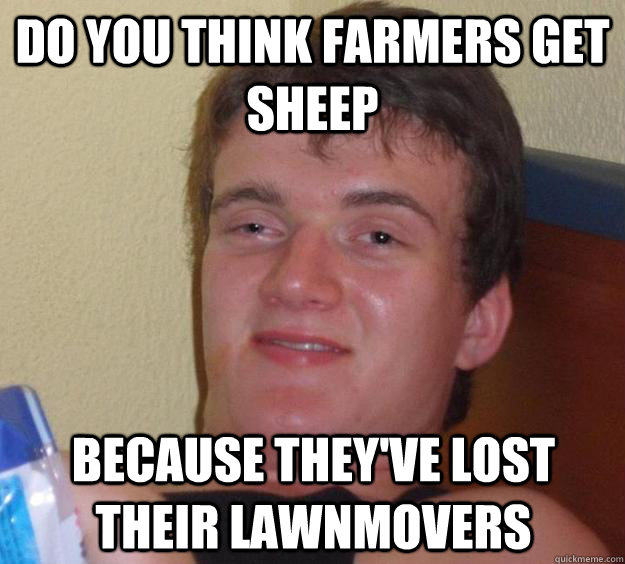 Do you think farmers get sheep because they've lost their lawnmovers  10 Guy