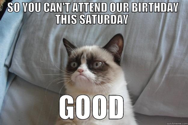 SO YOU CAN'T ATTEND OUR BIRTHDAY THIS SATURDAY  GOOD Grumpy Cat