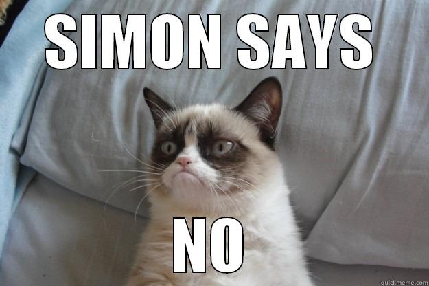 SIMON SAYS NO Grumpy Cat