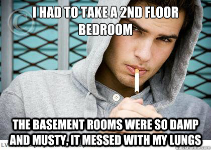 I had to take a 2nd floor bedroom the basement rooms were so damp and musty, it messed with my lungs - I had to take a 2nd floor bedroom the basement rooms were so damp and musty, it messed with my lungs  Smoker Logic