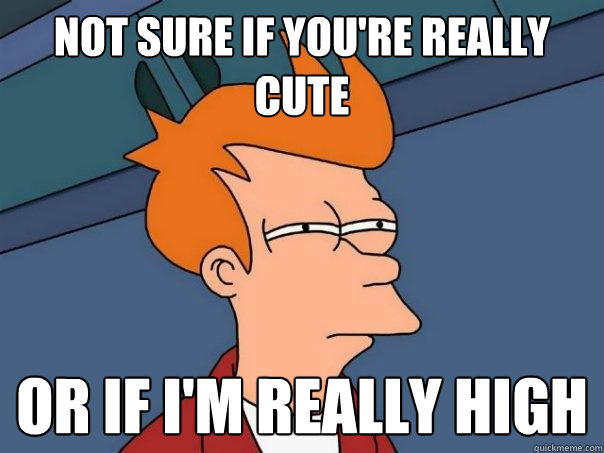 not sure if you're really cute or if I'm really high - not sure if you're really cute or if I'm really high  Futurama Fry