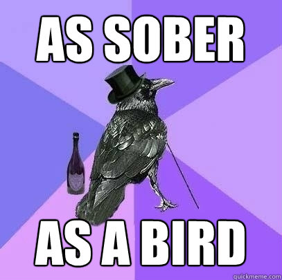 As Sober As a Bird - As Sober As a Bird  Rich Raven