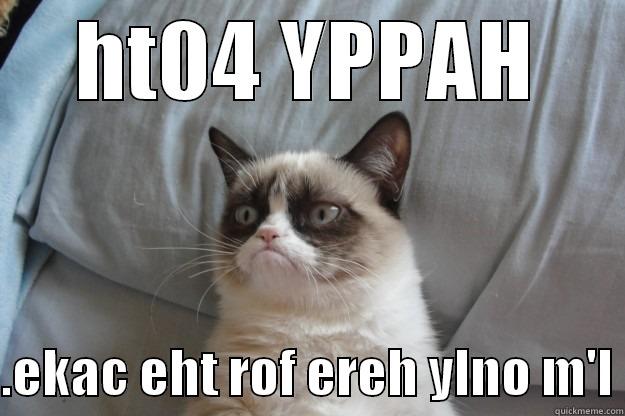 HT04 YPPAH  .EKAC EHT ROF EREH YLNO M'I Grumpy Cat