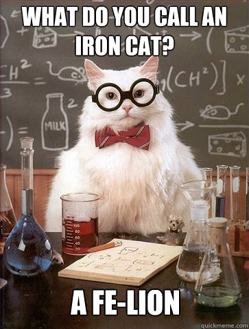 what do you call an iron cat? a fe-lion  Chemistry Cat