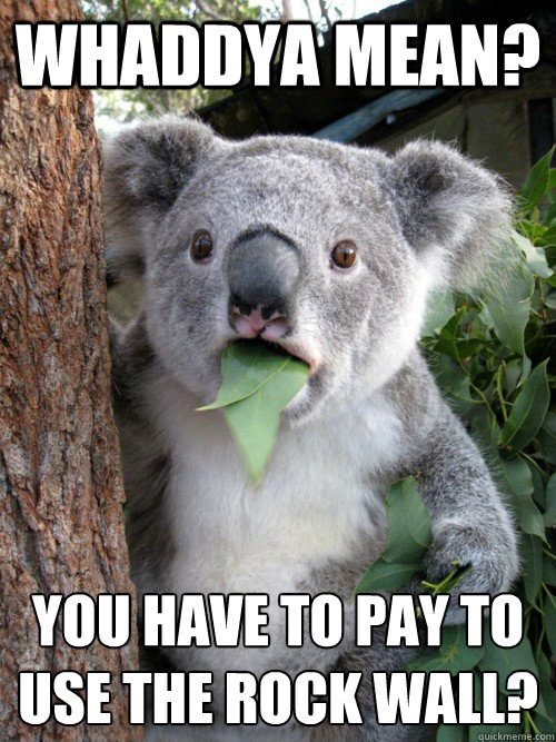 Whaddya mean? You have to pay to use the rock wall? - Whaddya mean? You have to pay to use the rock wall?  koala bear