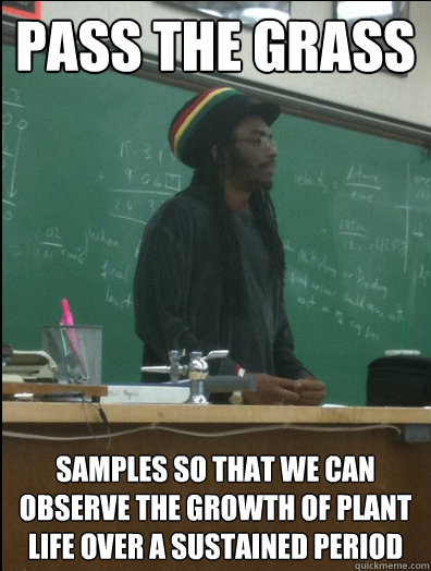 Pass the grass samples so that we can observe the growth of plant life over a sustained period  Rasta Science Teacher