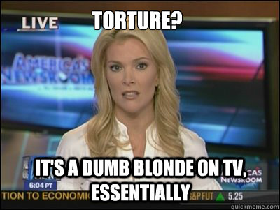 Torture? It's a dumb blonde on TV, essentially - Torture? It's a dumb blonde on TV, essentially  Megyn Kelly