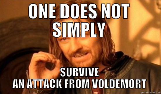 ONE DOES NOT SIMPLY SURVIVE AN ATTACK FROM VOLDEMORT Boromir