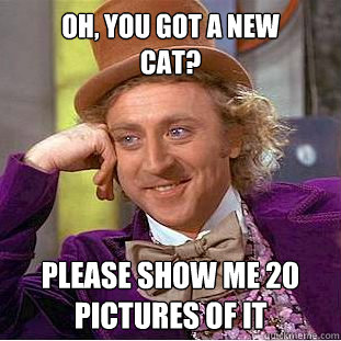 Oh, you got a new
cat? Please show me 20 pictures of it - Oh, you got a new
cat? Please show me 20 pictures of it  Condescending Wonka