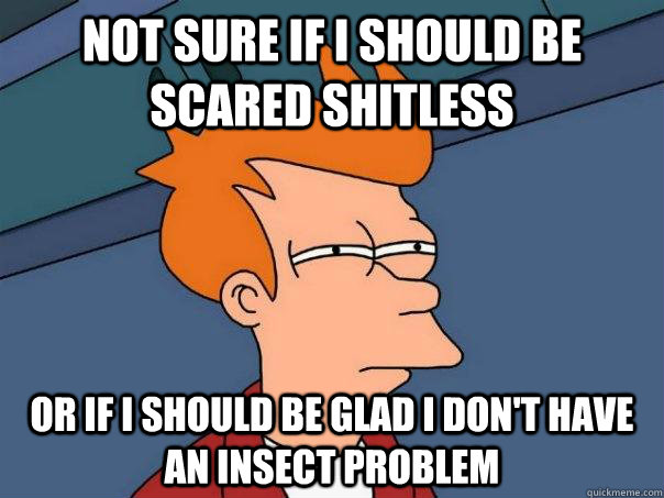 Not sure if I should be scared shitless Or if i should be glad i don't have an insect problem  Futurama Fry