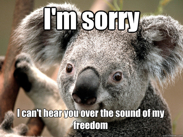 I'm sorry I can't hear you over the sound of my freedom - I'm sorry I can't hear you over the sound of my freedom  Evil Koala Bear