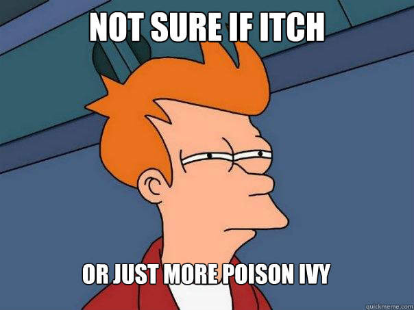 Not sure if itch or just more poison ivy  Futurama Fry