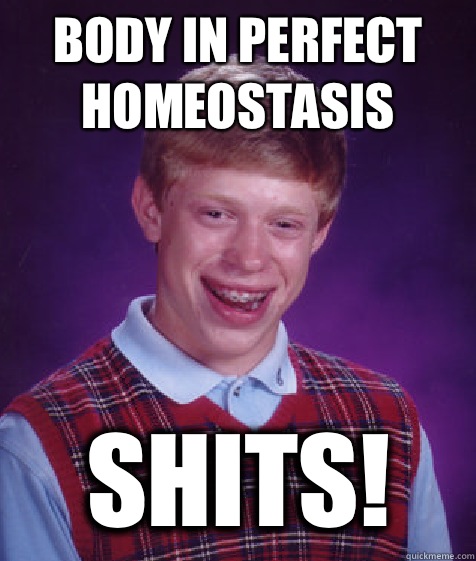 Body in perfect homeostasis Shits! - Body in perfect homeostasis Shits!  Bad Luck Brian