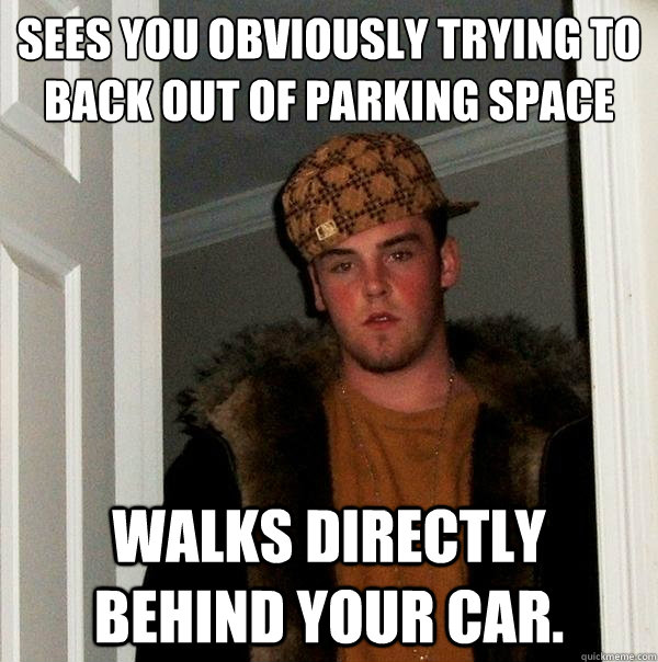 Sees you obviously trying to back out of parking space
 Walks DIRECTLY behind your car. - Sees you obviously trying to back out of parking space
 Walks DIRECTLY behind your car.  Scumbag Steve