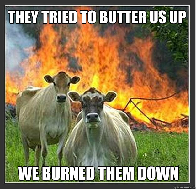 they tried to butter us up we burned them down  Evil cows