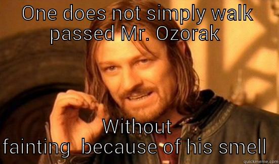 ONE DOES NOT SIMPLY WALK PASSED MR. OZORAK  WITHOUT FAINTING BECAUSE OF HIS SMELL  Boromir