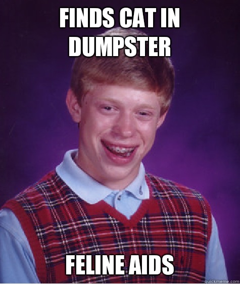 Finds cat in dumpster Feline aids  Bad Luck Brian