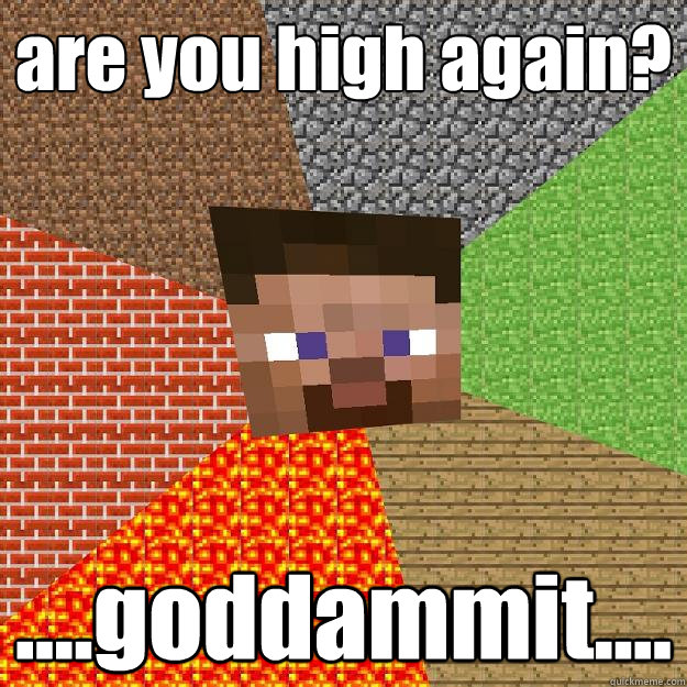 are you high again? ....goddammit....  Minecraft