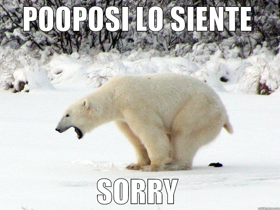 POOPOSI LO SIENTE - POOPOSI LO SIENTE SORRY Misc