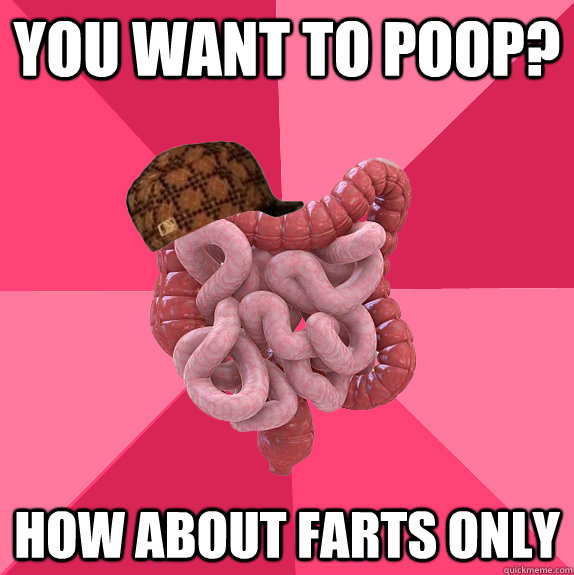 you want to poop? how about farts only  Scumbag Intestines