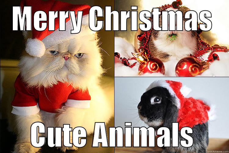 MERRY CHRISTMAS CUTE ANIMALS Misc