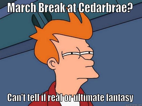 MB meme - MARCH BREAK AT CEDARBRAE? CAN'T TELL IF REAL OR ULTIMATE FANTASY Futurama Fry