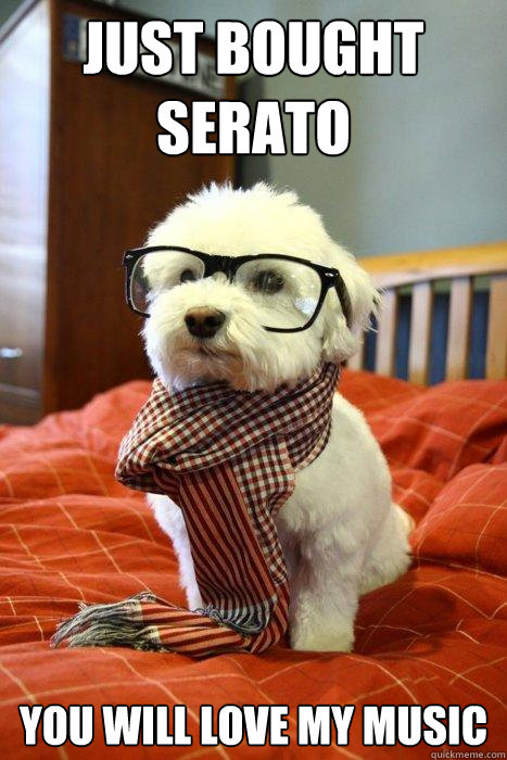 just bought serato you will love my music  Hipster Dog