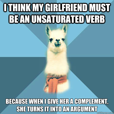 I think my girlfriend must be an unsaturated verb because when I give her a complement, she turns it into an argument  Linguist Llama