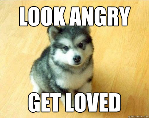 Look angry Get loved  Baby Courage Wolf