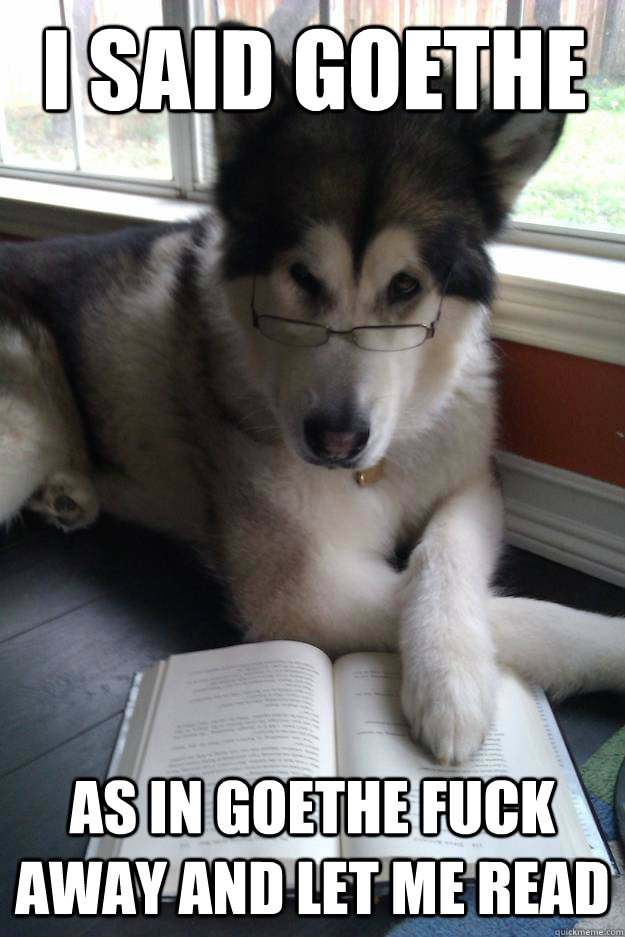 I said goethe as in Goethe fuck away and let me read  Condescending Literary Pun Dog