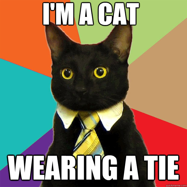 i'm a cat wearing a tie  Business Cat