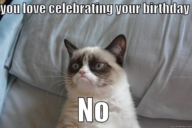 YOU LOVE CELEBRATING YOUR BIRTHDAY  NO SUCH THING Grumpy Cat