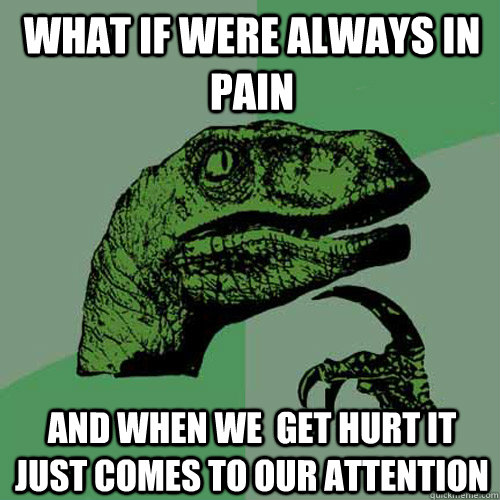 what if were always in pain and when we  get hurt it just comes to our attention  Philosoraptor