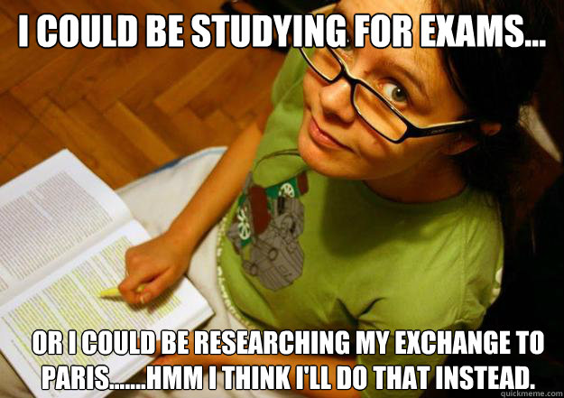 I could be studying for exams... or i could be researching my exchange to paris.......hmm i think i'll do that instead.  - I could be studying for exams... or i could be researching my exchange to paris.......hmm i think i'll do that instead.   Eager beaver girl 3 weeks before exam