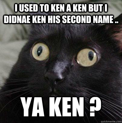 I used to ken a ken but i didnae ken his second name .. Ya ken ? - I used to ken a ken but i didnae ken his second name .. Ya ken ?  Spaz Cat