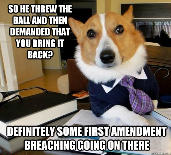 So he threw the ball and then demanded that you bring it back? Definitely some first amendment breaching going on there  Lawyer Dog