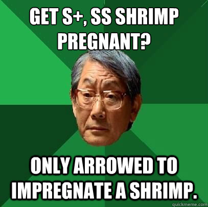 Get S+, SS SHRIMP Pregnant? Only arrowed to impregnate A shrimp.  High Expectations Asian Father