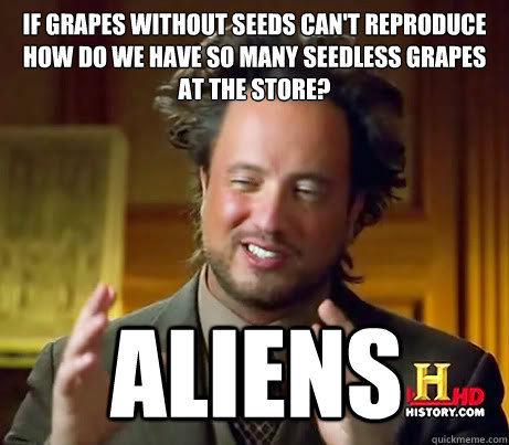 If grapes without seeds can't reproduce 
how do we have so many seedless grapes at the store? Aliens  Ancient Aliens Earthquake